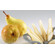 Κόπτης μήλου-αχλαδιού Westmark Divisorex No 5110